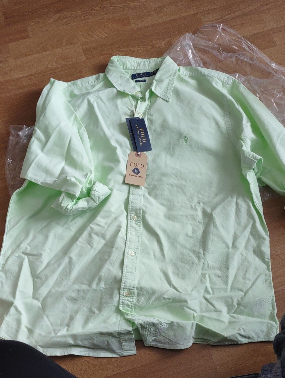 Polo by Ralph Lauren Mint Green Men’s Casual Button-Down Shirt